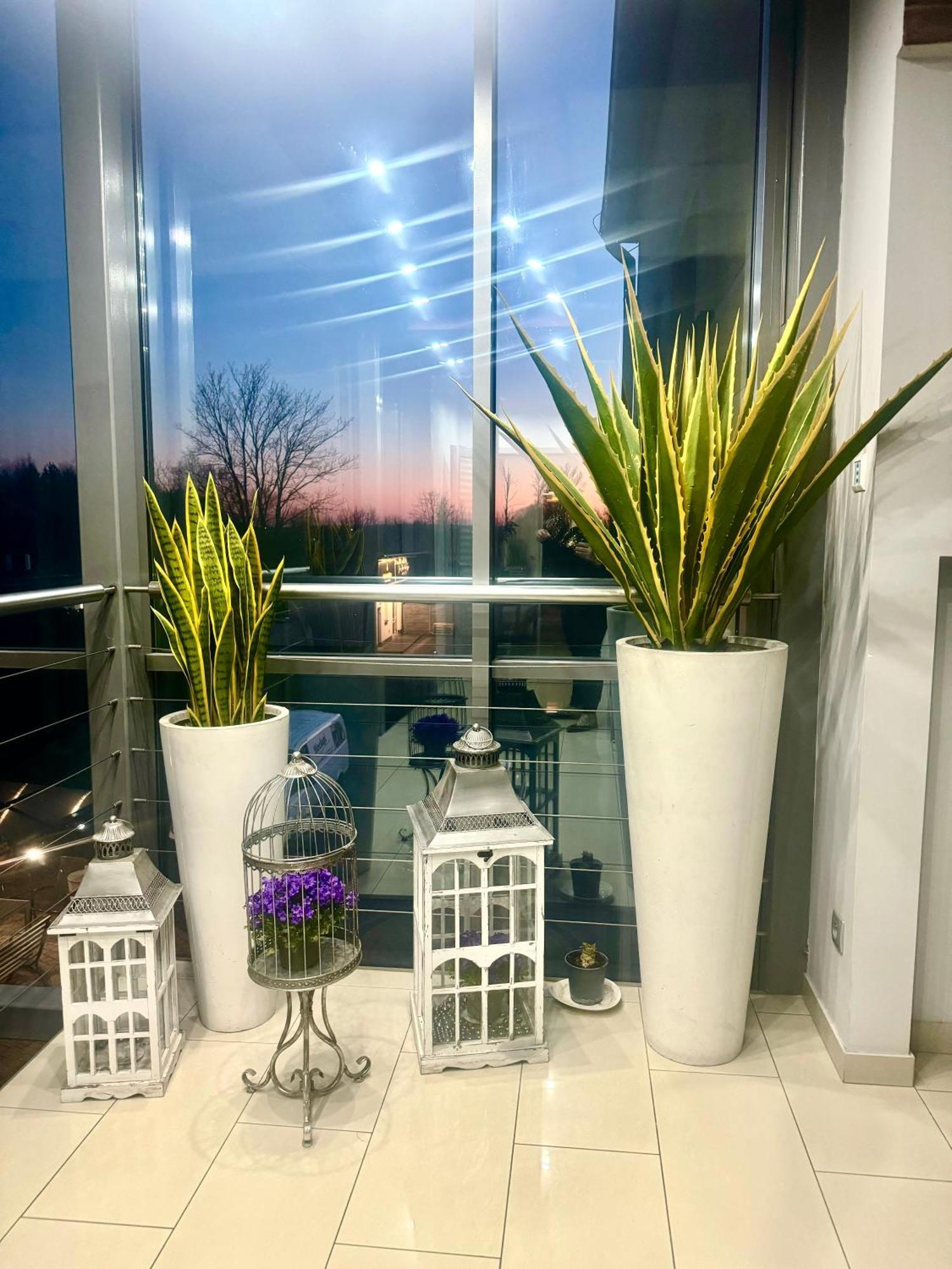 Apartamenty I Pokoje „Pod Jedynka” Konstantynów Łódzki Buitenkant foto